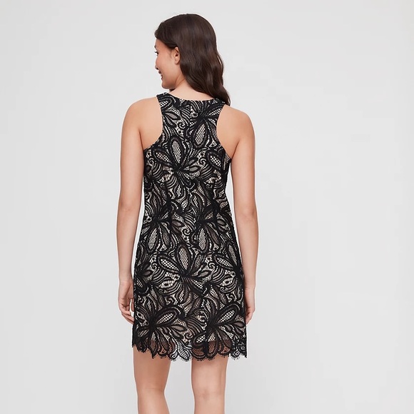 NEW Babaton Henry dress - Picture 8 of 8